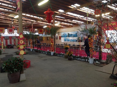 “Đón” Tết Việt muôn nơi cùng Dân trí - 5 Mỹ Nga,