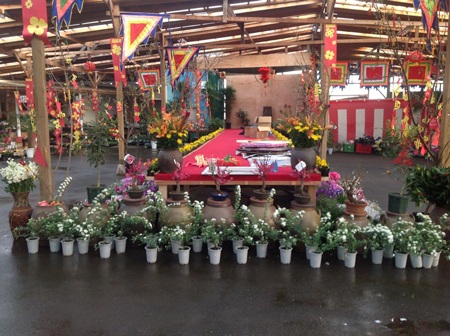 “Đón” Tết Việt muôn nơi cùng Dân trí - 7 Mỹ Nga,