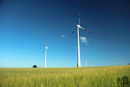 Dresden xuân đầy nắng. Tác giả: 