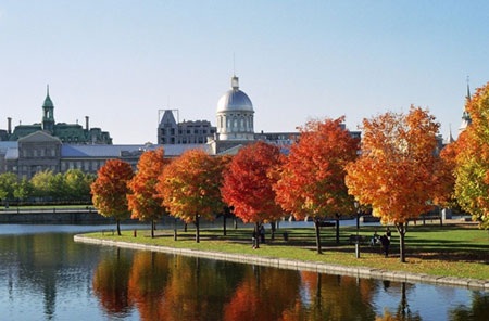 Vào phổ thông công lập Canada khó không? - 1 Du học Canada