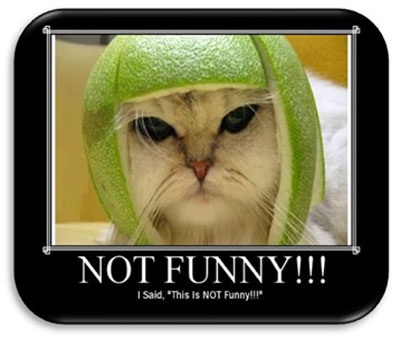 Thầy có chia sẻ rằng lý do trở lại Việt