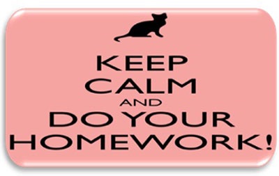 Nhưng mà bài tập về nhà quan trọng thế sao?