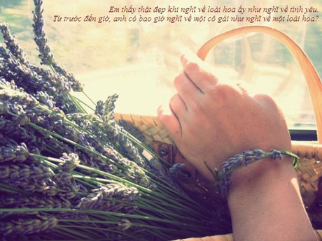 Lavande: Modele: Thu Phương, Photographe: Lan Tử Viên