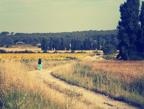 Hoa hướng dương: Modele: Trinh Đào, Photographe: Lan Tử Viên