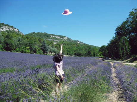 Lavande: Modele: Lan Tử Viên, Photographe: Lan Tử Viên