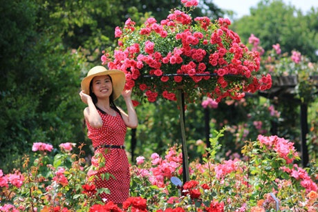 Khoảnh khắc ngọt ngào của đôi tình nhân người Pháp