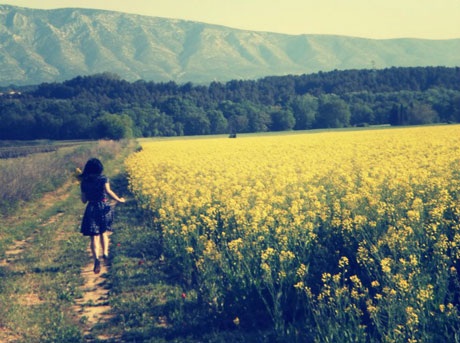 Hoa colza: Modele: Thi Lanh, Photographe: Lan Tử Viên