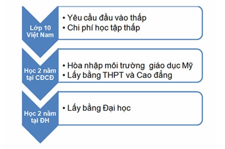 Chương trình chuyển tiếp CĐCĐ