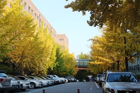 SungkyunKwan - Trường đại học “lên phim”