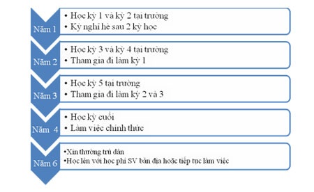 Du học được trả lương tại Canada - 2 Lộ trình học tập của khóa Diploma Co-op của trường Centennial