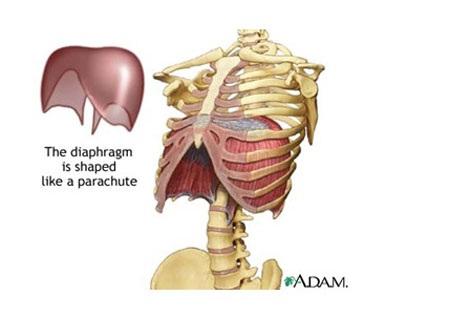 Du học và câu chuyện về phát âm - ngữ điệu - 3 Thầy lại nói “Chính vì tiếng Việt cũng là