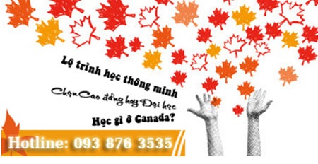 Chọn lộ trình nào du học Canada? - 4 Xin giới thiệu đến bạn đọc 4 lộ trình học cao đẳng, đại học, Post Graduate và Cao học.