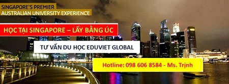 Curtin Singapore: Điểm khởi đầu lý tưởng cho bạn - 1 Tư vấn du học