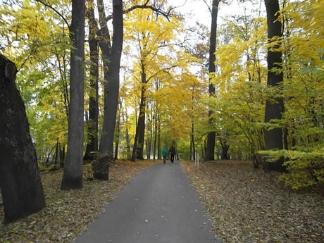 Sắc thu trải vàng trên những triền đồi