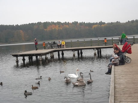 Mùa thu của những đôi lứa ở thành phố Olsztyn – Ba Lan