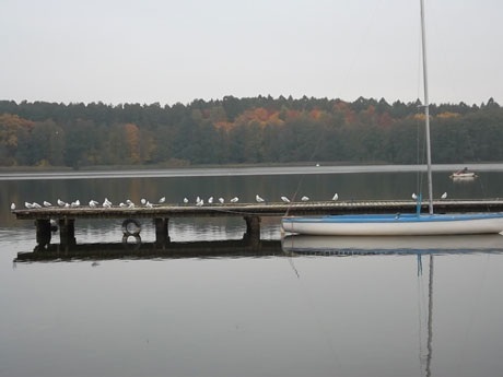 Mùa thu của những đôi lứa ở thành phố Olsztyn – Ba Lan