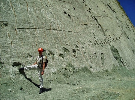 Vết tích hàng ngàn dấu chân khủng long in trên bức tường đá lớn