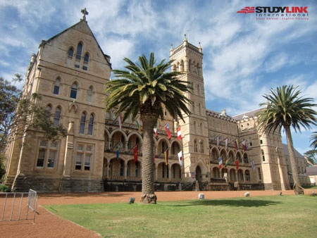 Du học Học viện ICMS - Sydney nhận lương thực tập 30.000 AUD