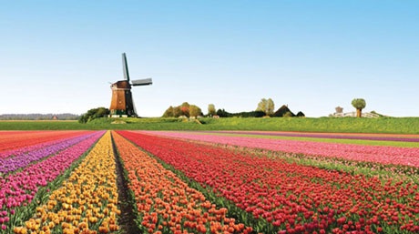 Giao lưu văn hóa, thương mại tại Ngôi Làng Hà Lan