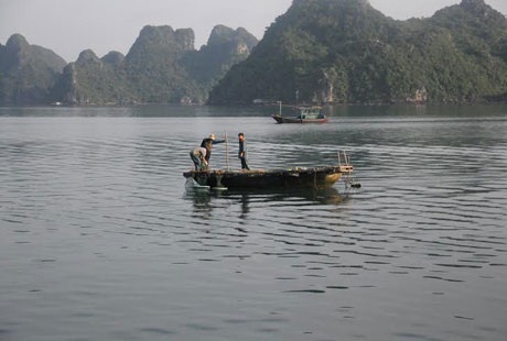 Biển đảo Cô Tô – Nét hoang sơ đầy mơ mộng - 2 Vẻ đẹp hoang sơ đầy thơ mộng của Cô Tô luôn thu hút đông đảo khách du lịch. (ảnh internet)