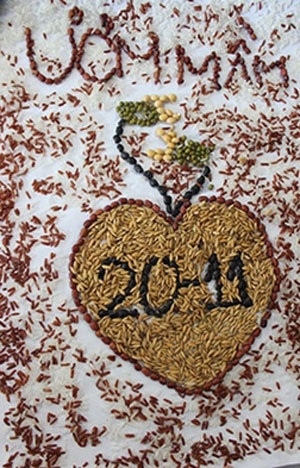 Làm tranh lúa gạo tri ân thầy cô