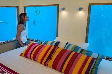 Độc đáo dịch vụ “ngủ với cá” dưới lòng biển Ấn Độ Dương