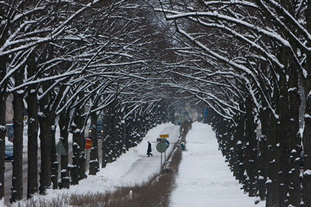 Ngắm tuyết Helsinki, nhớ Hà Nội mùa gió về - 1 Ngắm tuyết Helsinki, nhớ Hà Nội mùa gió về
