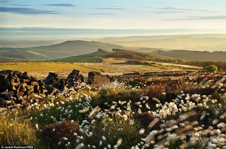 Ảnh Ánh nắng sớm mai chụp ở vùng quê Windgather Rocks (Jackie Robinson)