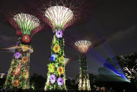 Những cô gái Việt Nam châm đèn “thắp sáng thế giới” - 12 Vườn cách mạng ở Singapore lộng lẫy trong lễ kỷ niệm năm đầu tiên