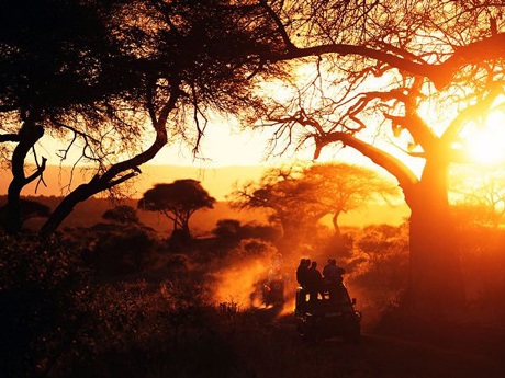 Những sắc thu rực rỡ “phát quang” thành một đường tròn đồng tâm trên một mặt hồ ở Pomerania, Ba Lan