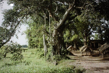 Một góc chợ Định Công