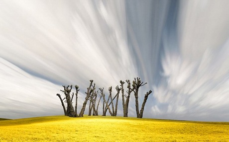 Mỗi bức hình được sâu chuỗi từ 30 hình ảnh khác nhau.