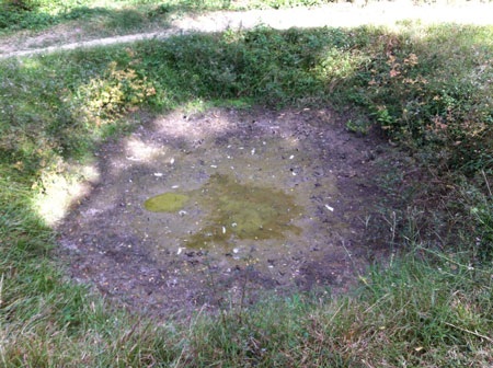 Những hố chôn có thể nhìn thấy khắp nơi trong khu tưởng niệm