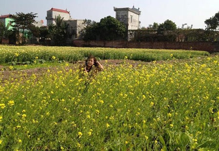 Hoa lại vàng nơi ấy…