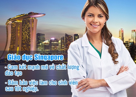 Vì sao du học sinh Singapore dễ dàng xin được việc làm lương cao? - 2 Tại
