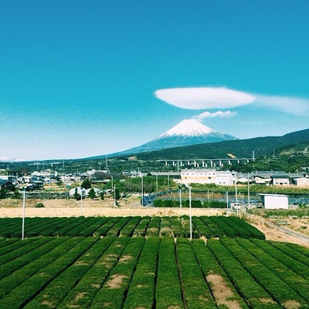 Một vài gợi ý ngắm ngọn núi cao nhất xứ Mặt trời mọc