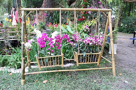 Thiếu nữ Sài Gòn tha thướt áo dài dạo Hội hoa - 15 Những chậu hoa kiểng được chăm sóc kỳ công