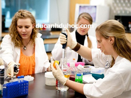Vì sao nên chọn học phổ thông tại Anh, Úc, Mỹ, New Zealand, Canada? - 1 Đa số các học sinh cấp 3 Việt