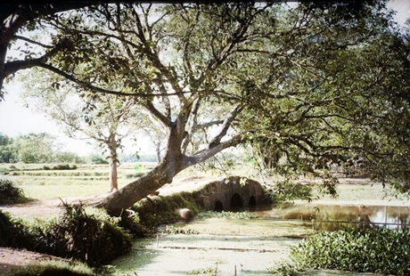 Cầu nhỏ ở Định Công năm 1914. Quang cảnh thanh bình, thôn dã...