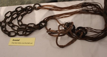 Dây bảo hiểm của thợ bắt voi