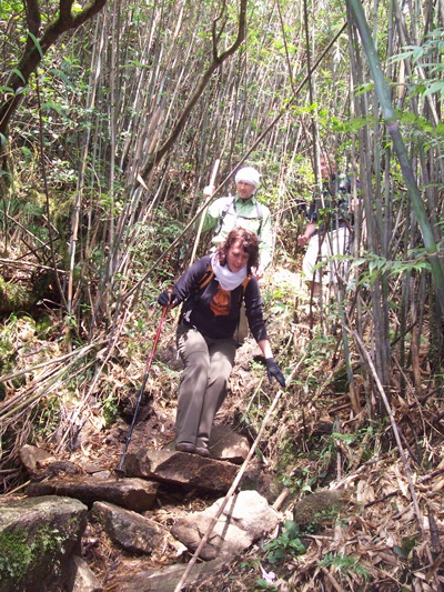 Rừng quốc gia Hoàng Liên lại đón du khách chinh phục đỉnh núi Phan Si Păng - 2 Du khách nước ngoài leo núi chinh phục đỉnh Phan Si Păng trở về
