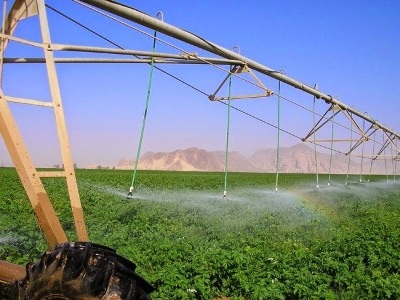 Độc đáo nông trại hữu cơ trên... sa mạc - 5 Toàn cảnh nông trại nhìn từ trên cao