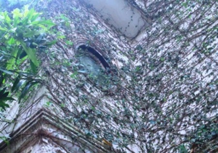 Biệt thự phủ kín dây leo kỳ bí ở Hà Nội