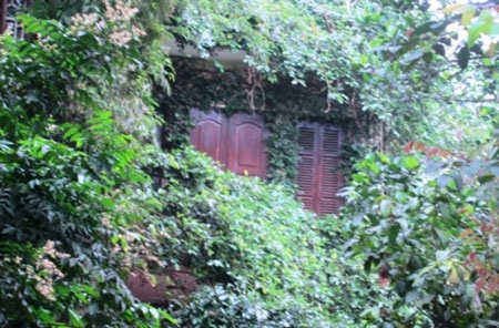 Biệt thự phủ kín dây leo kỳ bí ở Hà Nội