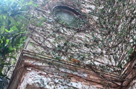 Chiếm trọn hầu hết không gian bên ngoài toà nhà tạo nên một vẻ kỳ bí và hoang sơ