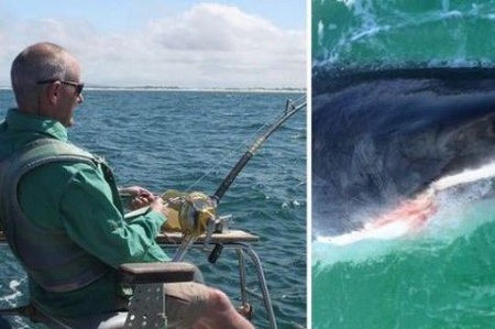Phát hoảng khi câu được một con cá mập trắng khổng lồ - 1 Andy Hales và chiến tích của mình. (Nguồn: BPM)