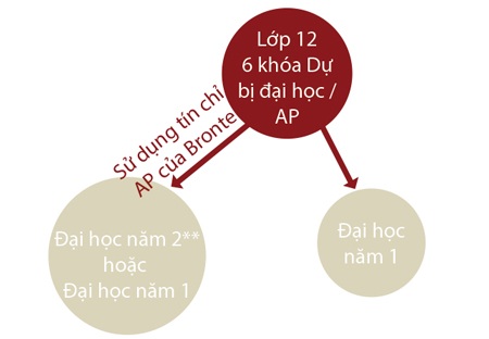 Đầu vào đại học hàng đầu Canada, Toronto - 3 Alexandra Lelyuk, lớp 12