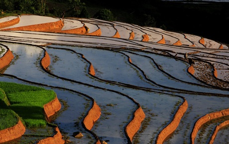 “Ngẩn ngơ” với ruộng bậc thang Sa Pa vào mùa nước đổ - 1 “Ngẩn ngơ” với ruộng bậc thang Sa Pa vào mùa nước đổ