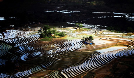 “Ngẩn ngơ” với ruộng bậc thang Sa Pa vào mùa nước đổ - 2 Tin & ảnh: