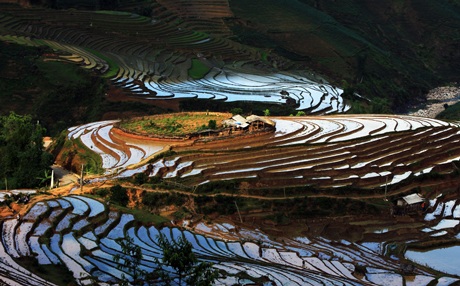 “Ngẩn ngơ” với ruộng bậc thang Sa Pa vào mùa nước đổ - 5 Tin & ảnh: